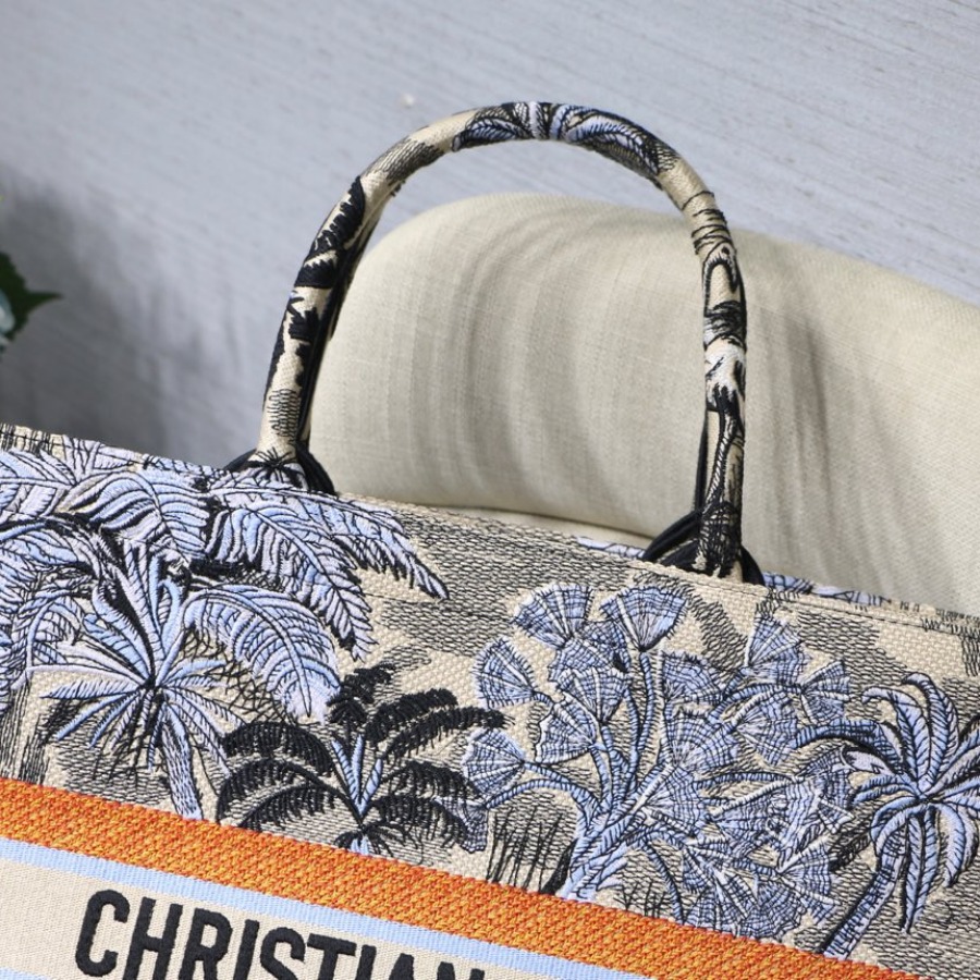 DIOR BOOK TOTE BAG IN EMBROIDERED CANVAS