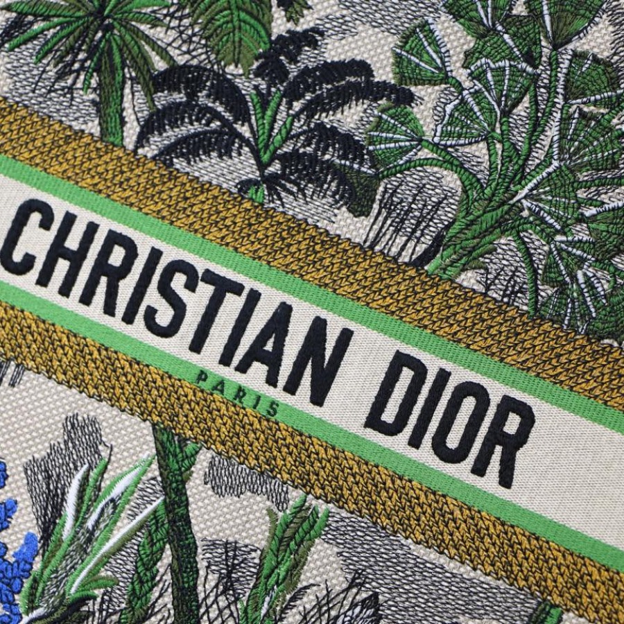 DIOR BOOK TOTE BAG IN EMBROIDERED CANVAS