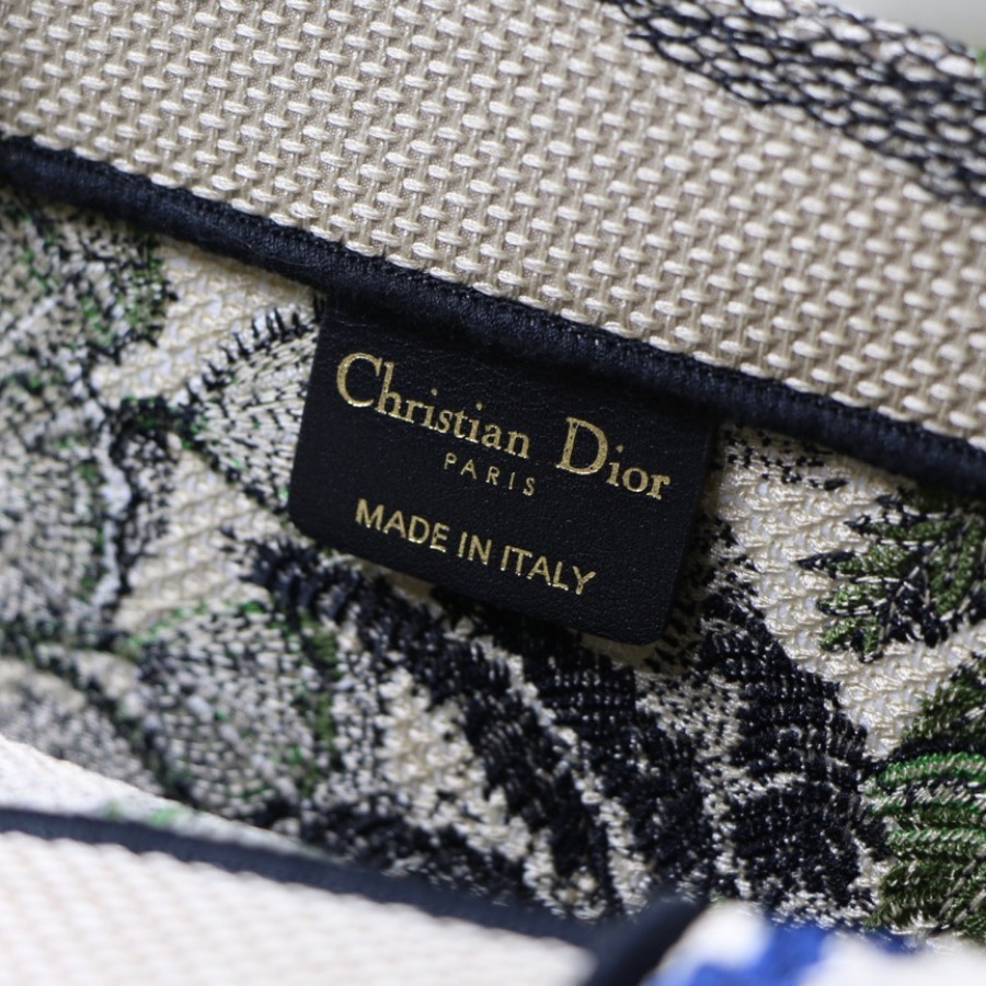 DIOR BOOK TOTE BAG IN EMBROIDERED CANVAS
