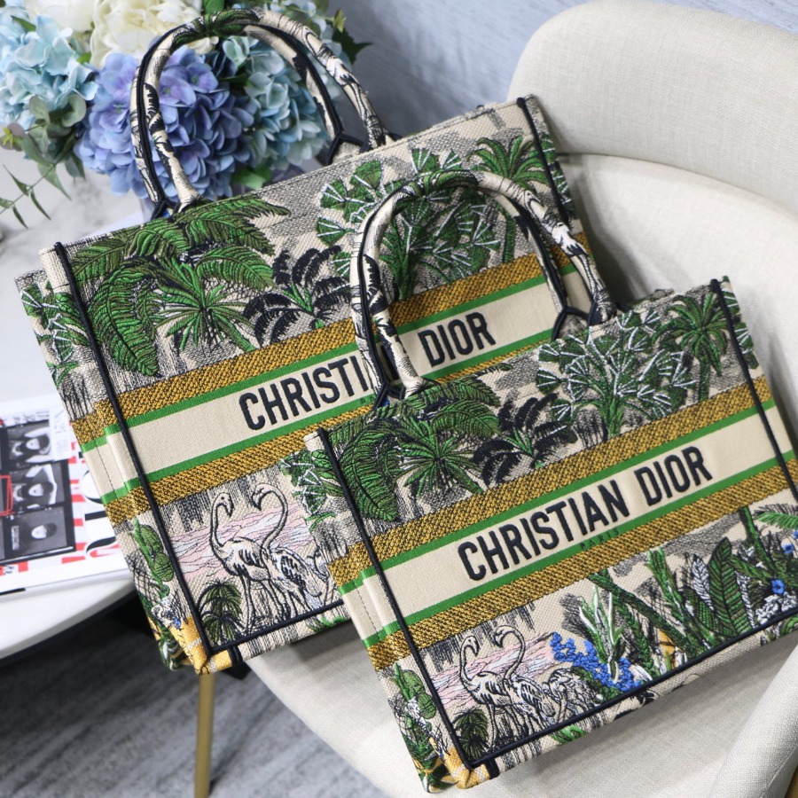 DIOR BOOK TOTE BAG IN EMBROIDERED CANVAS