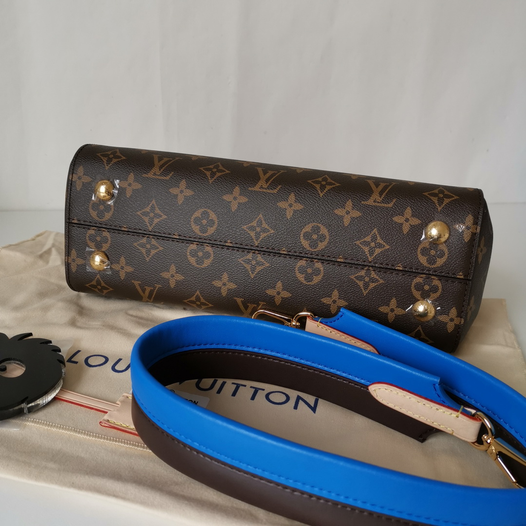 M42735 CLUNY MM, Louis Vuitton LV