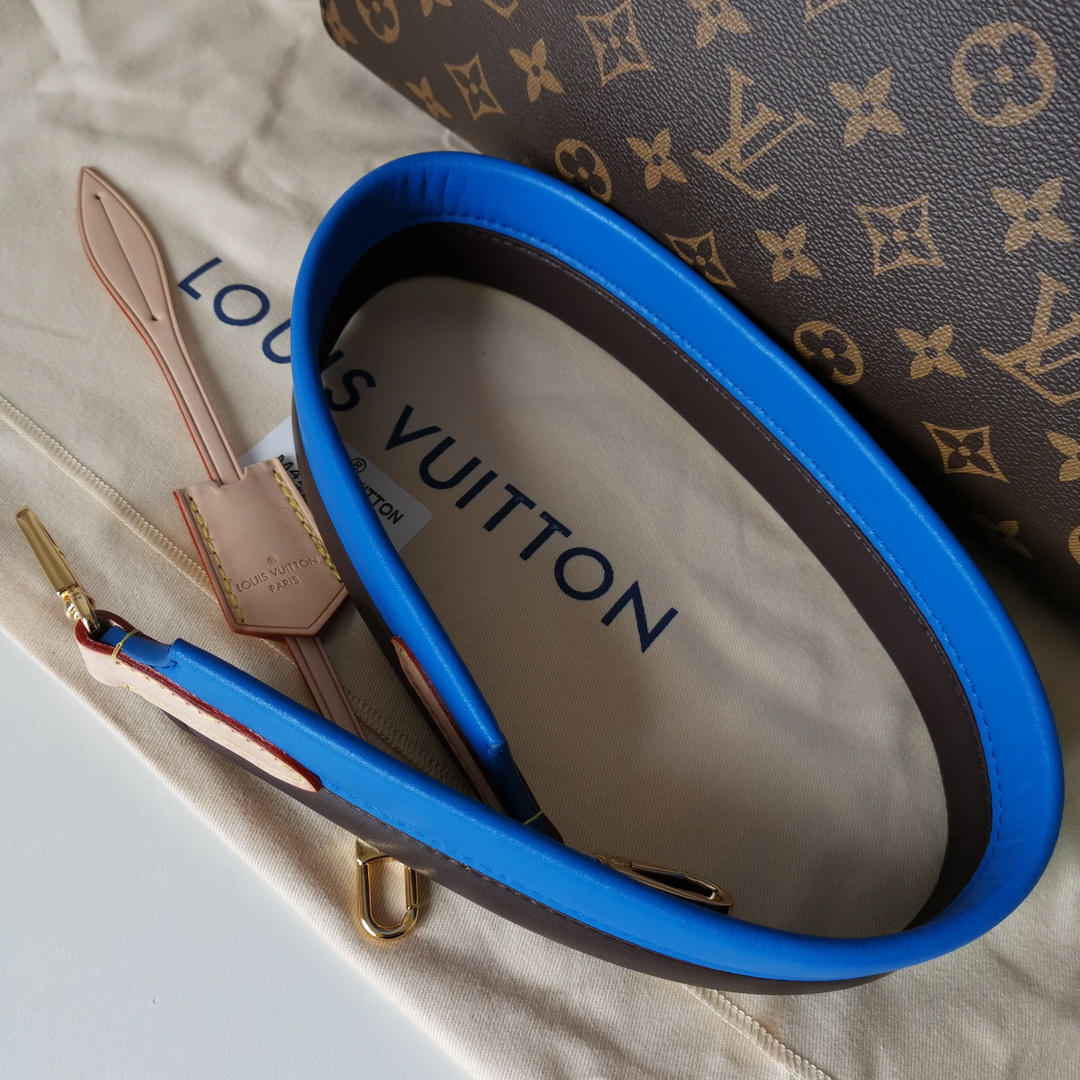 M42735 CLUNY MM, Louis Vuitton LV