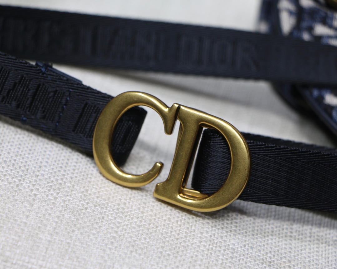 DIOR OBLIQUE SADDLE BELT BAG, DIOR SHOULDER BAG