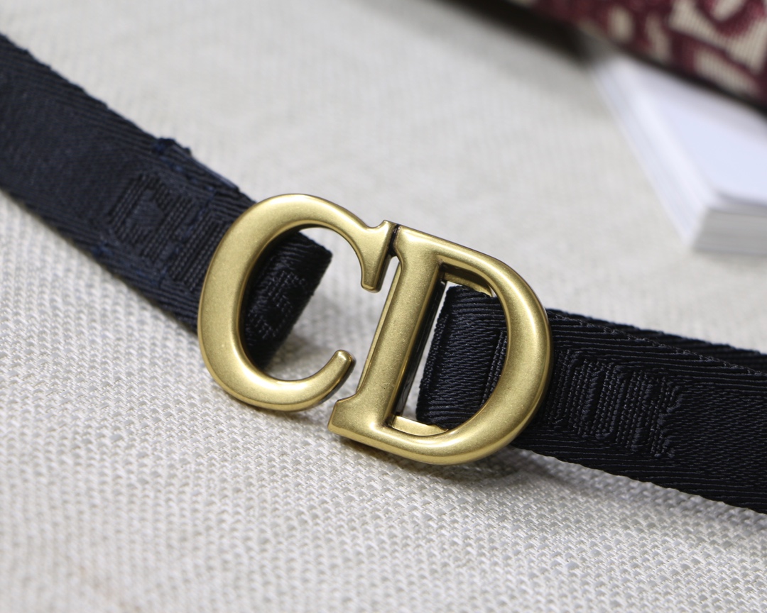 DIOR OBLIQUE SADDLE BELT BAG, DIOR SHOULDER BAG