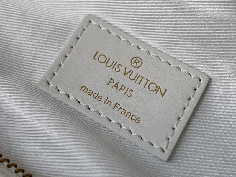 M53861 LOUIS VUITTON NEW WAVE BUMBAG,  Louis Vuitton LV Handbags