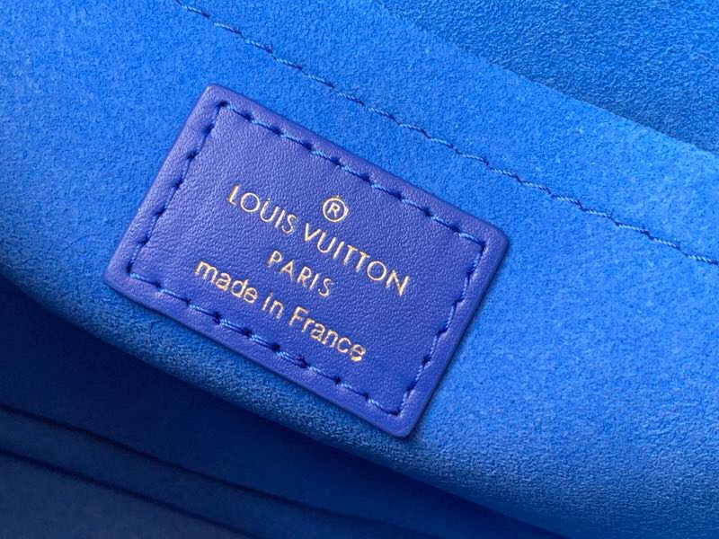M53901 LOUIS VUITTON NEW WAVE CAMERA BAG,  Louis Vuitton LV Handbags