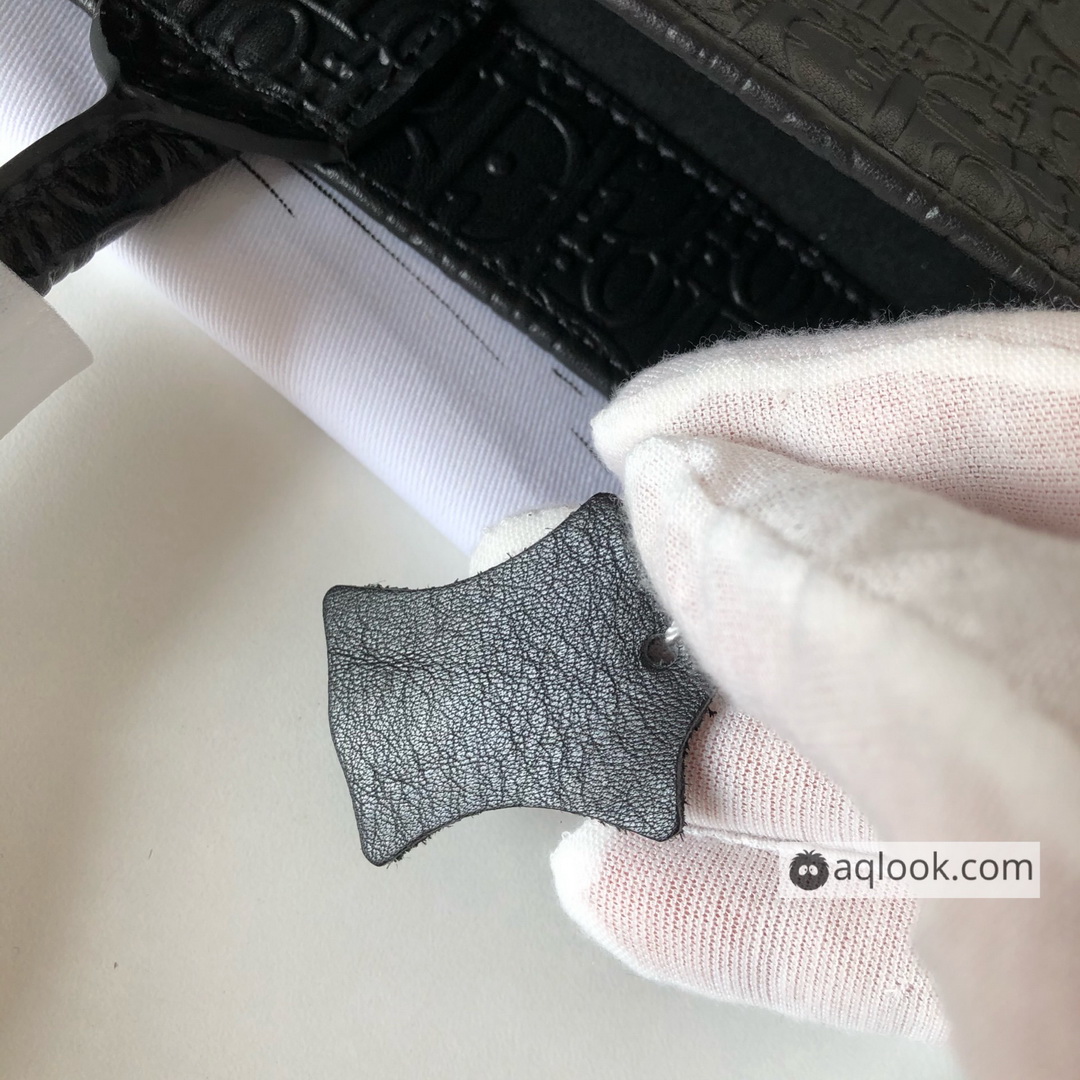 DIOR BOOK TOTE BAG IN EMBOSSED CALFSKIN