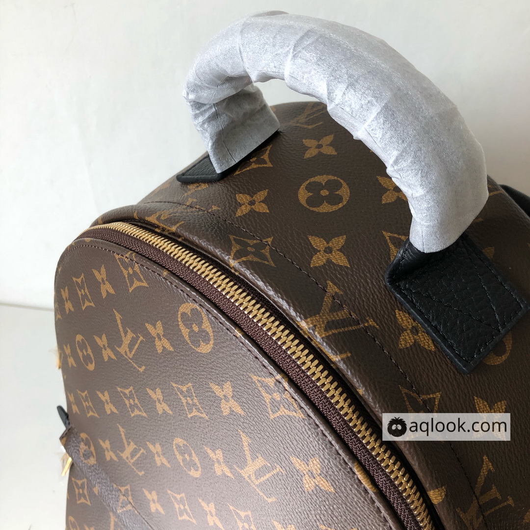 M44874 PALM SPRINGS MM, LOUIS VUITTON LV Monogram Bags