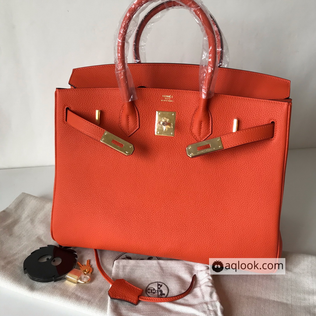 Hermes Birkin Handbag, Original Quality
