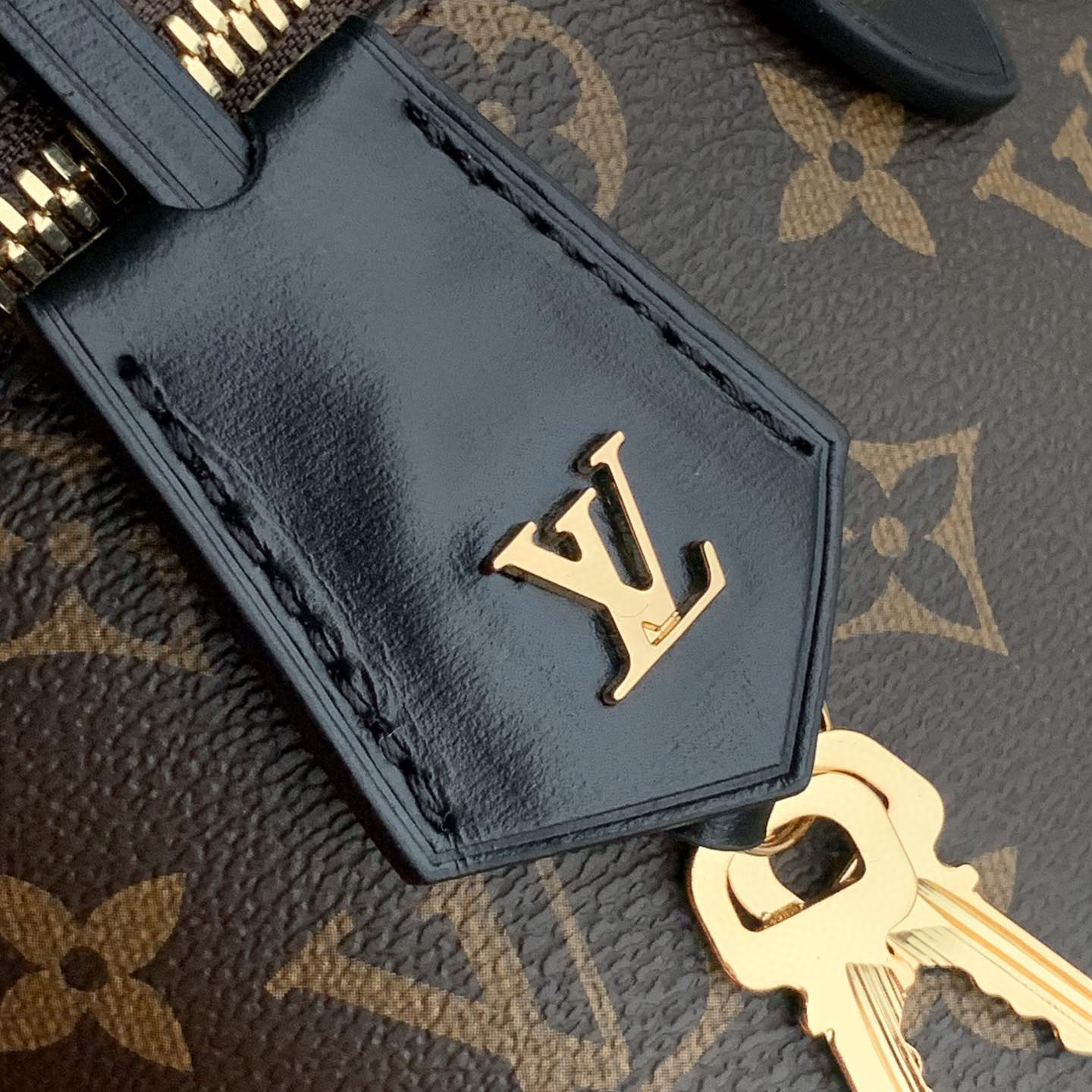 M45165 VANITY PM, LOUIS VUITTON LV Top Handles