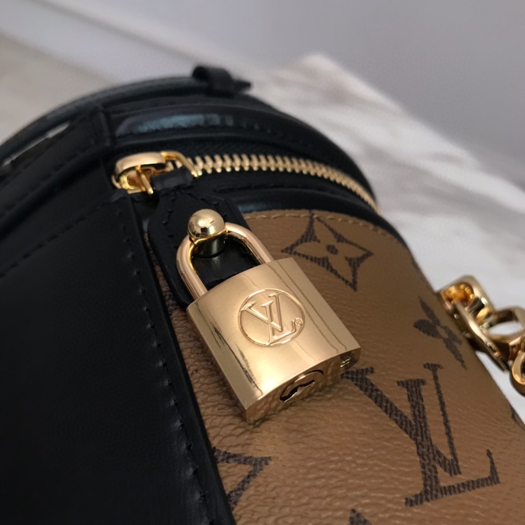 M43986, CANNES Monogram Reverse Canvas, LOUIS VUITTON LV HANDBAGS