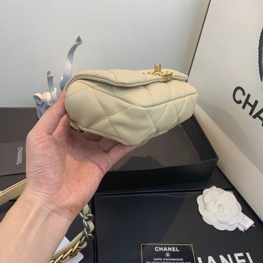 AS1163  chanel 19 waist bag