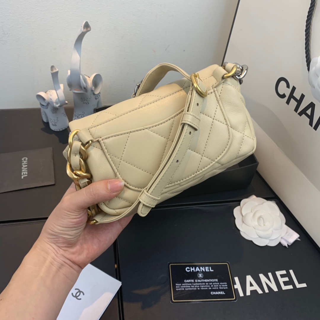 AS1163  chanel 19 waist bag