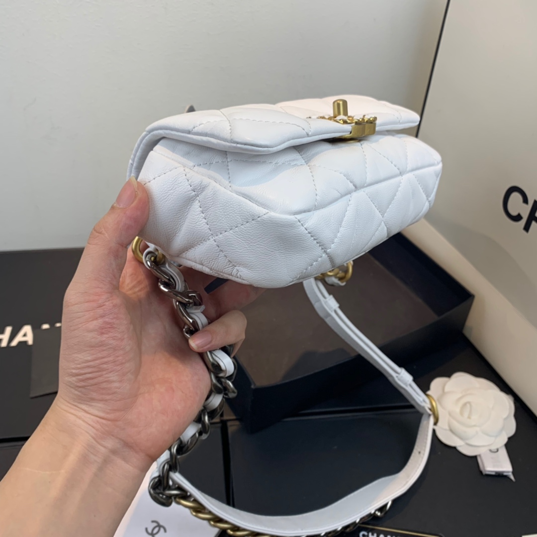 AS1163  chanel 19 waist bag