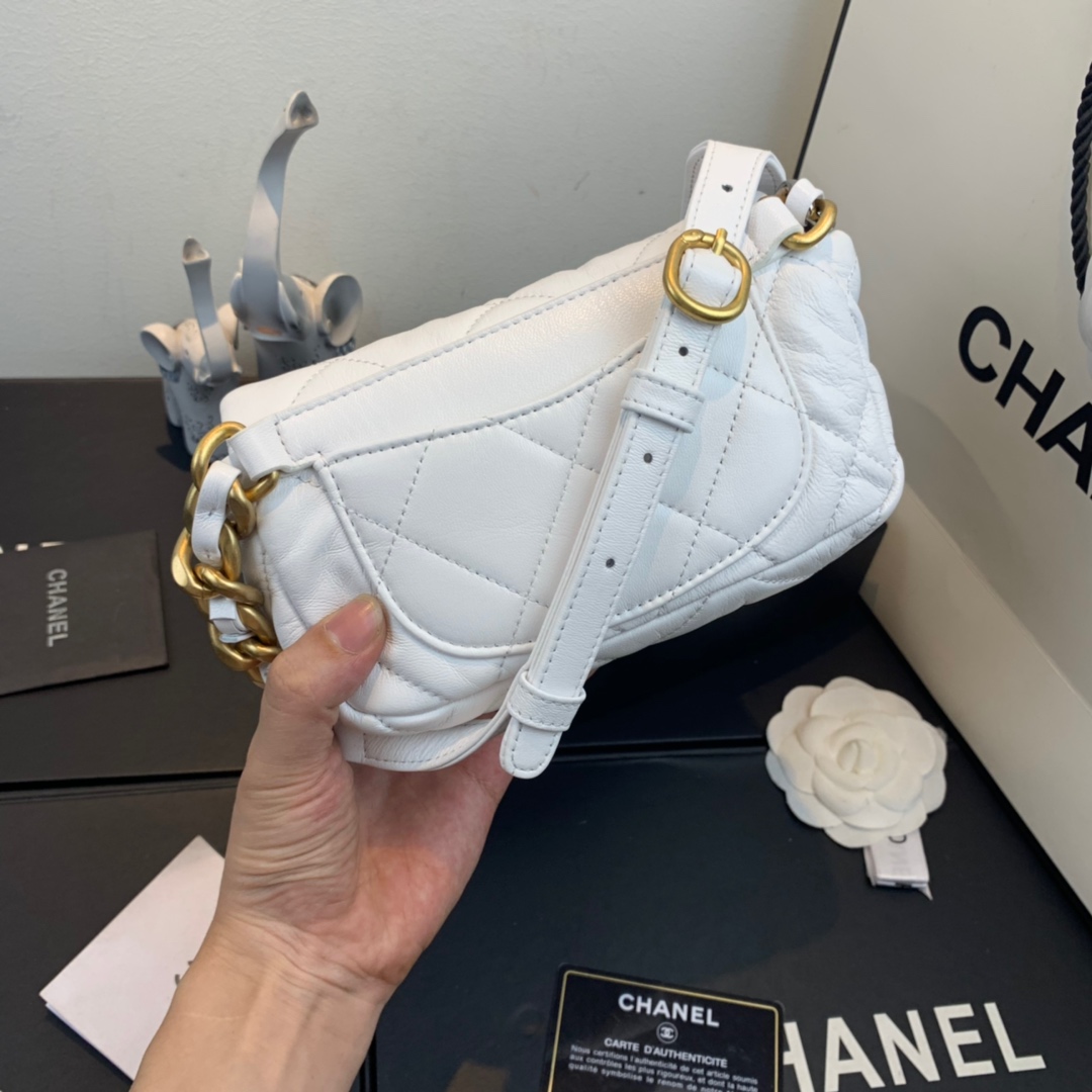 AS1163  chanel 19 waist bag