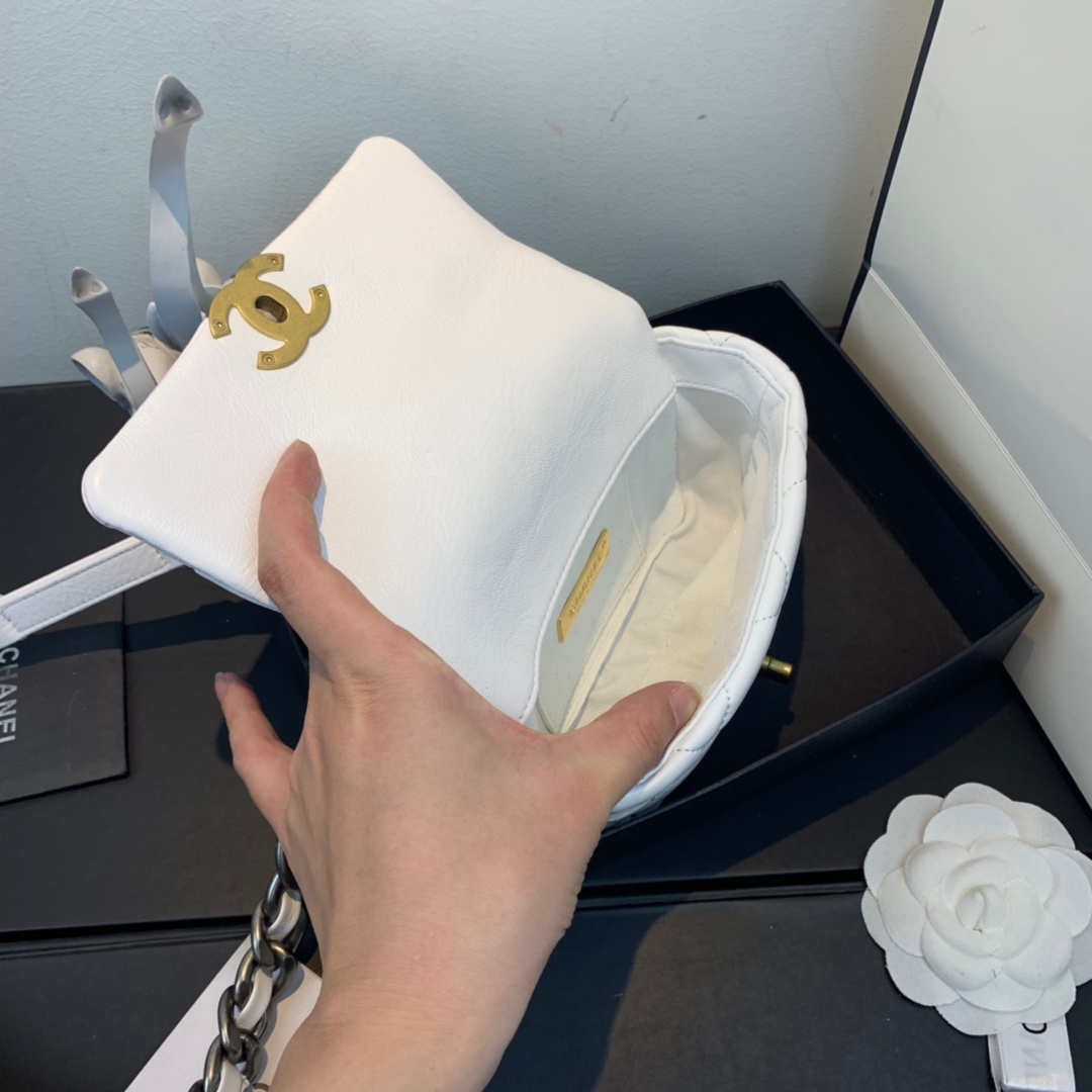 AS1163  chanel 19 waist bag