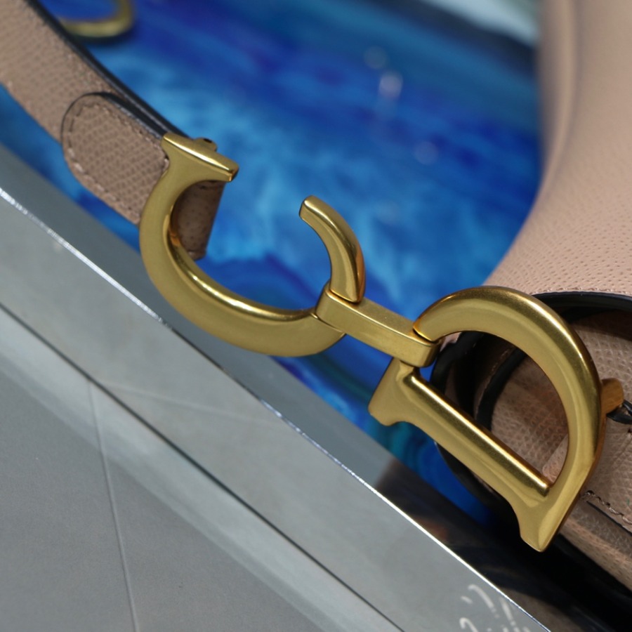 SADDLE BAG, Grained Calfskin, DIOR SADDLE CALFSKIN BAG