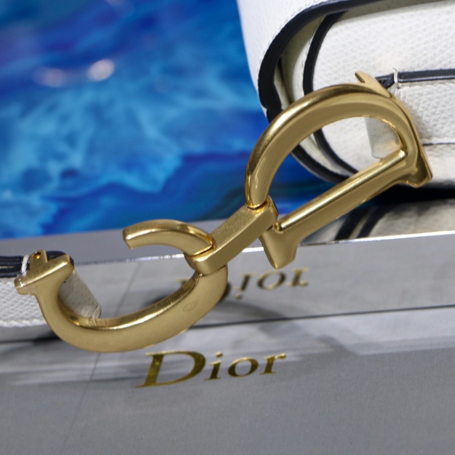 SADDLE BAG, Grained Calfskin, DIOR SADDLE CALFSKIN BAG
