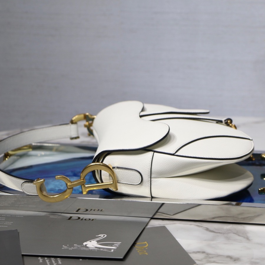 SADDLE BAG, Grained Calfskin, DIOR SADDLE CALFSKIN BAG
