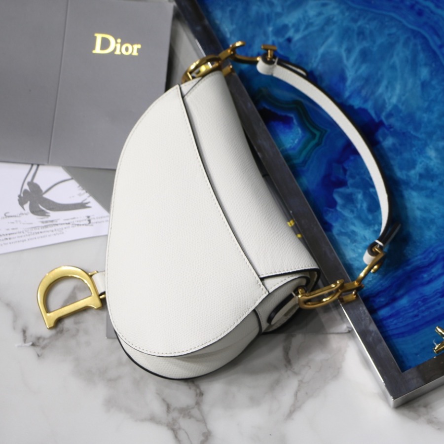 MINI SADDLE BAG, Grained Calfskin, DIOR SADDLE CALFSKIN BAG