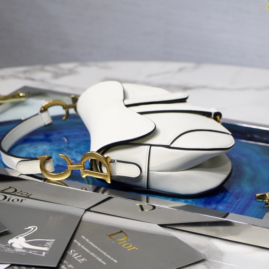MINI SADDLE BAG, Grained Calfskin, DIOR SADDLE CALFSKIN BAG
