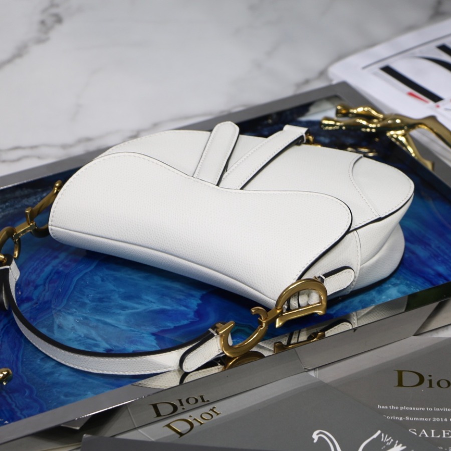 MINI SADDLE BAG, Grained Calfskin, DIOR SADDLE CALFSKIN BAG
