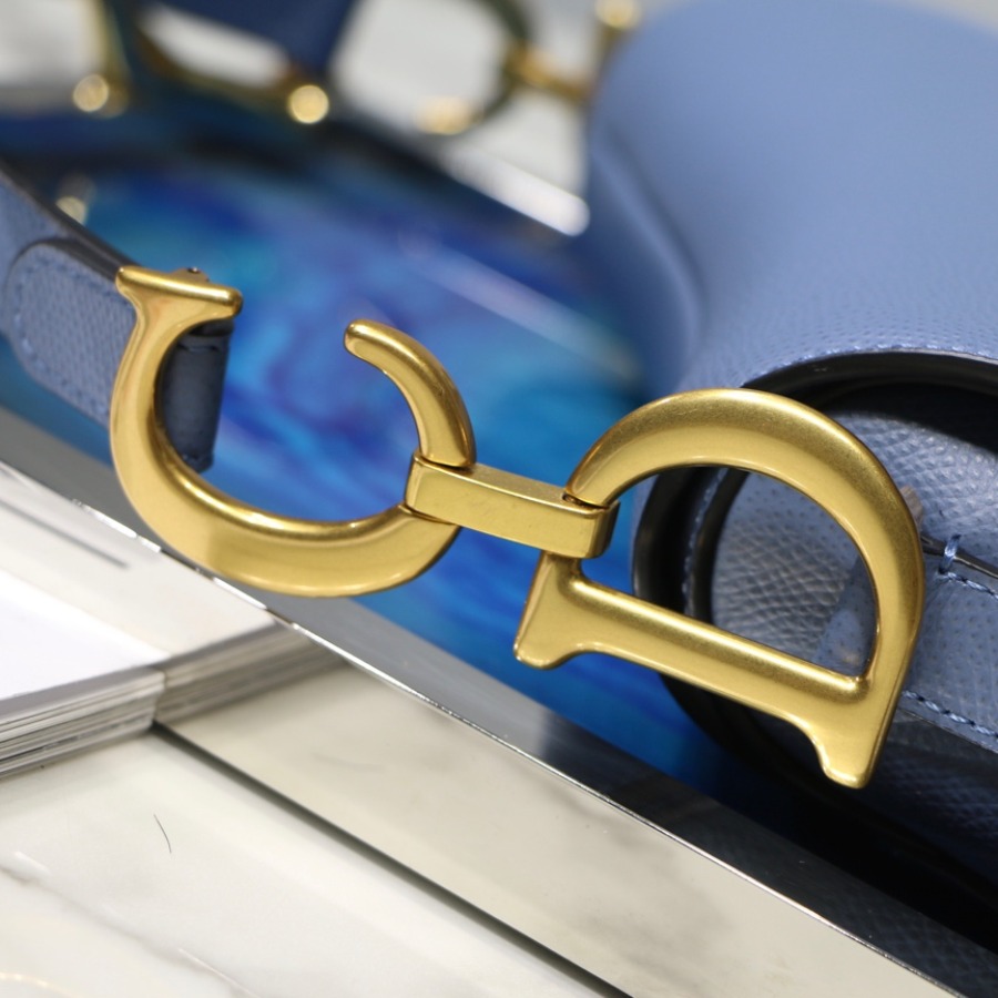 SADDLE BAG, Grained Calfskin, DIOR SADDLE CALFSKIN BAG