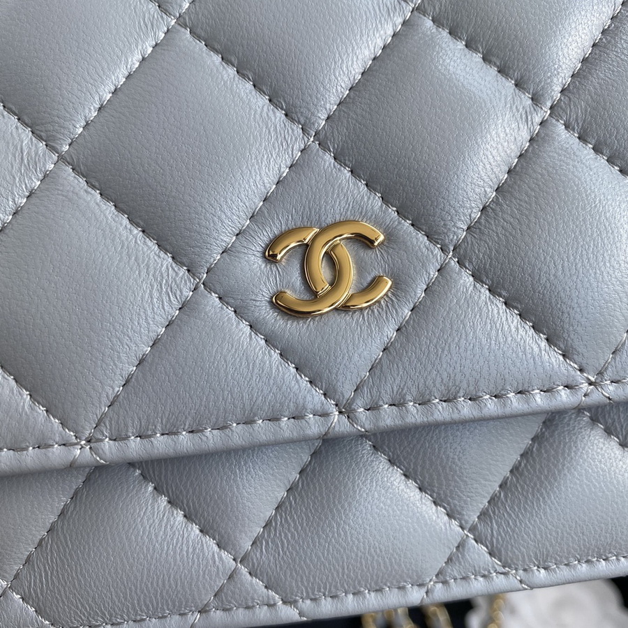 AP0250  classic wallet on chain, Chanel Bag