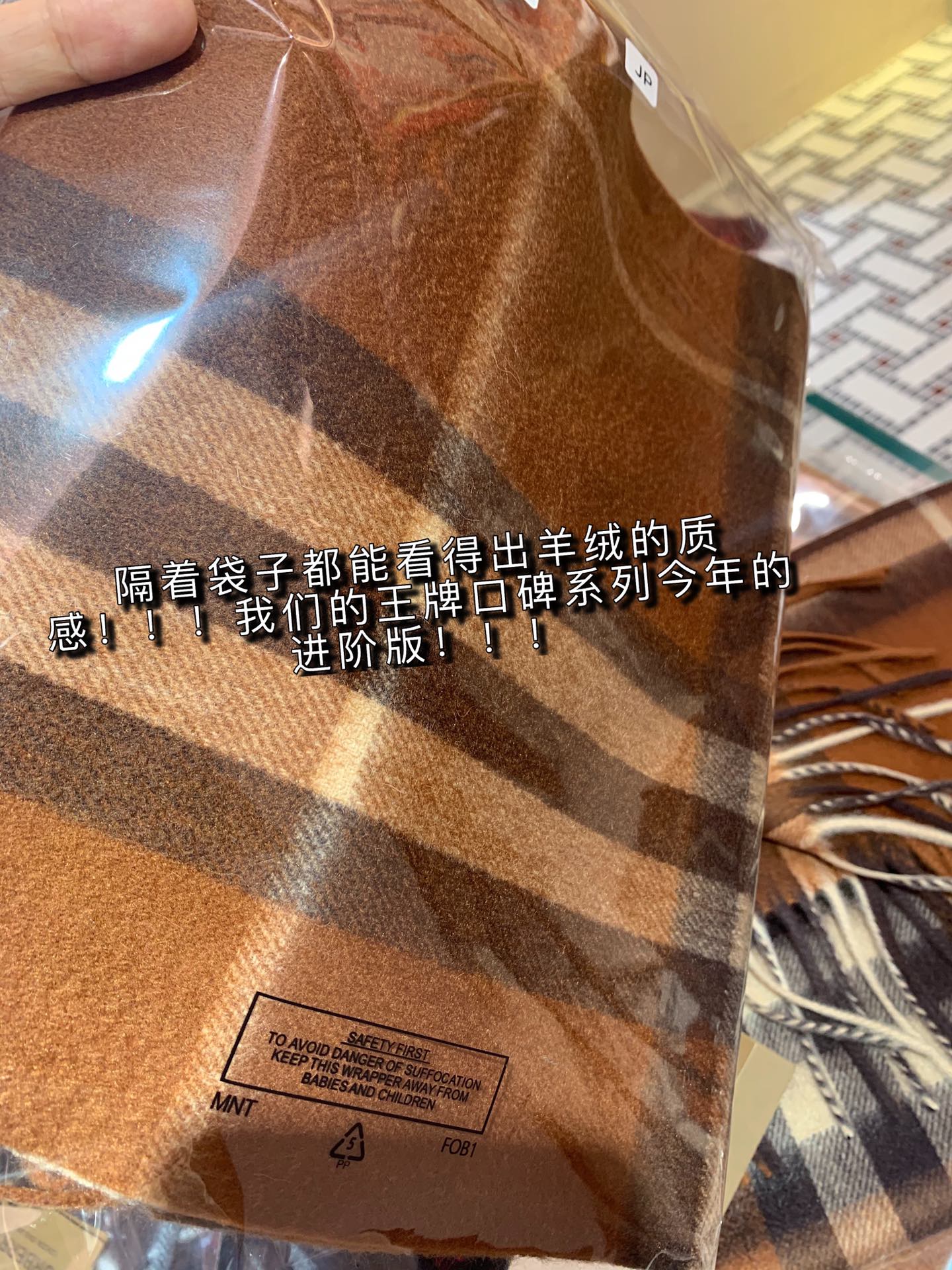 Burberry Scarves