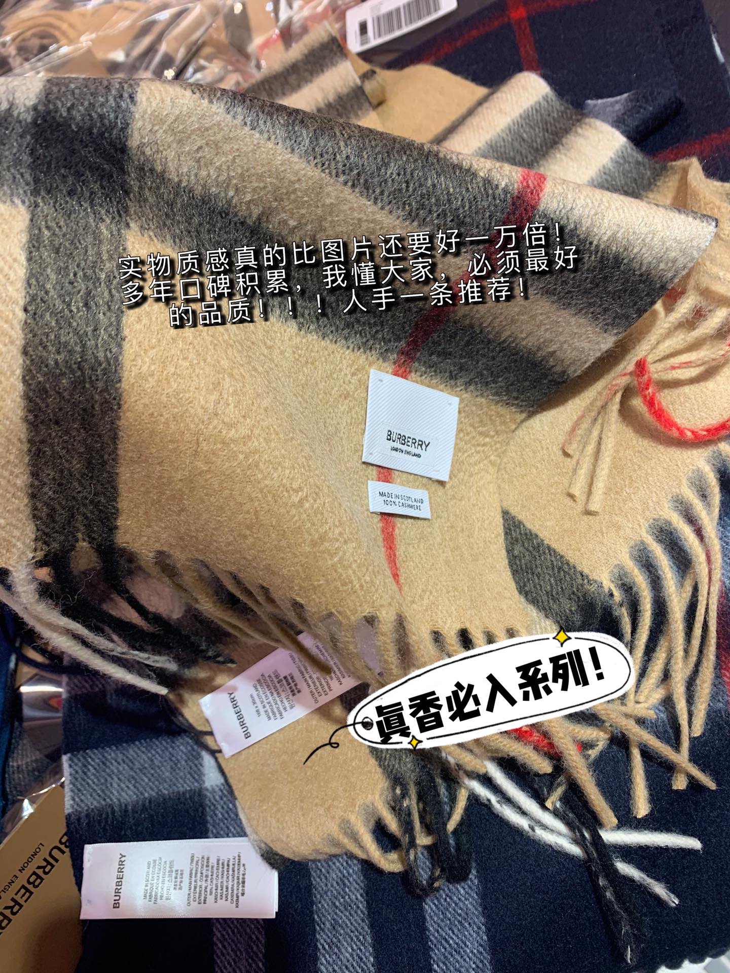 Burberry Scarves