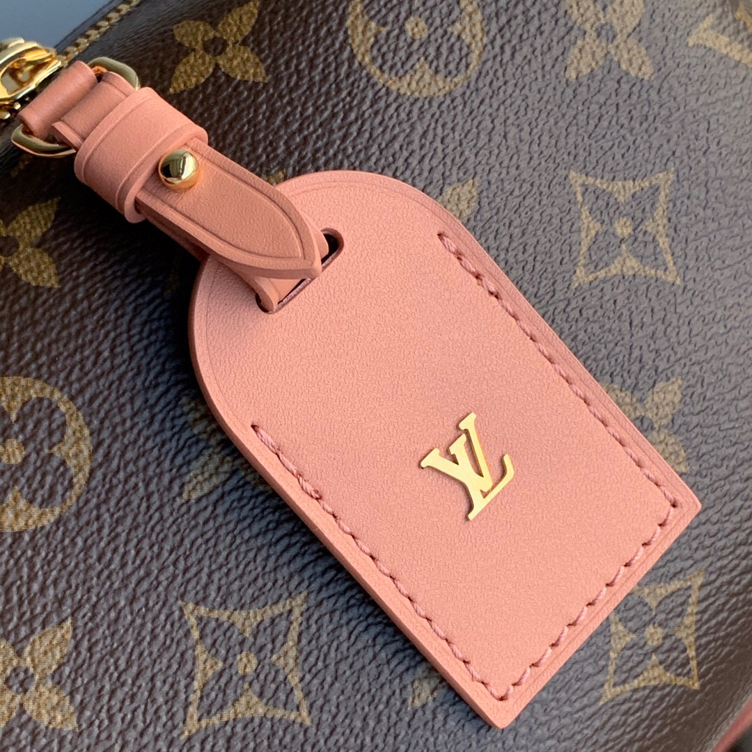 M45531 PETITE MALLE SOUPLE, Louis Vuitton LV Handbags