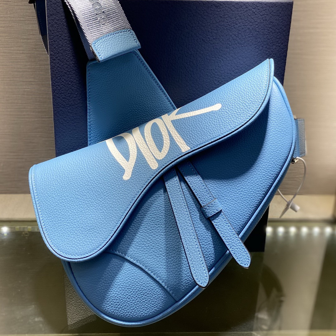 SADDLE BAG, Blue Grained Calfskin with DIOR AND SHAWN Signature, DIOR