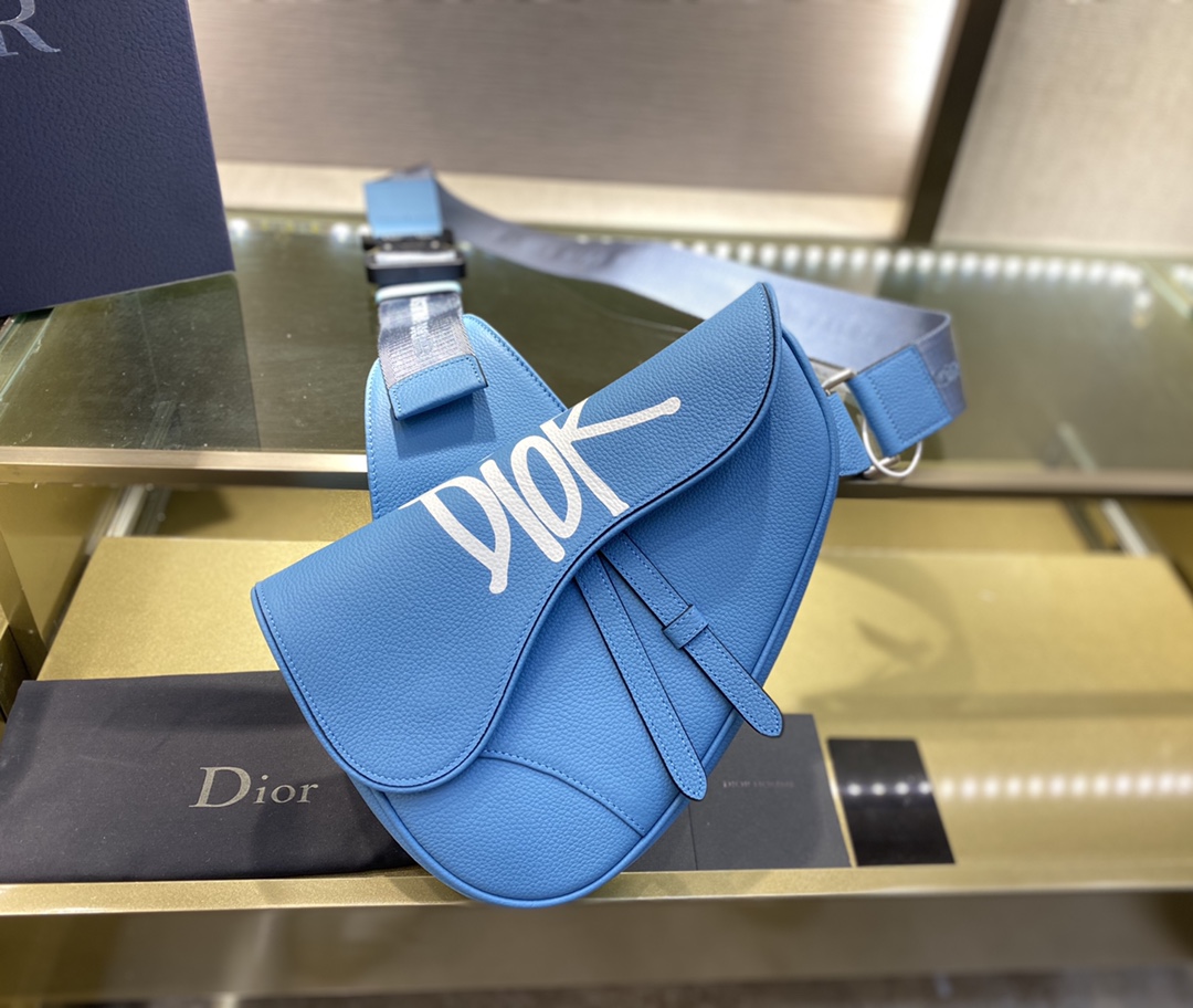 SADDLE BAG, Blue Grained Calfskin with DIOR AND SHAWN Signature, DIOR