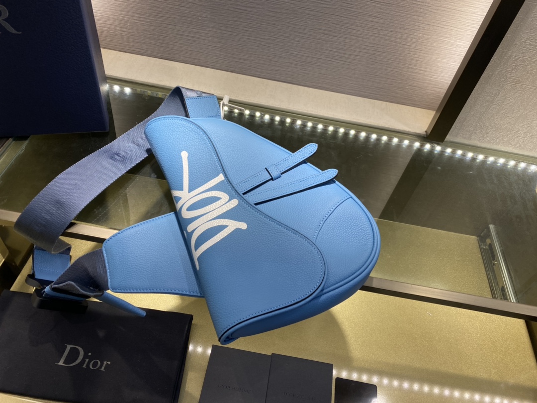 SADDLE BAG, Blue Grained Calfskin with DIOR AND SHAWN Signature, DIOR