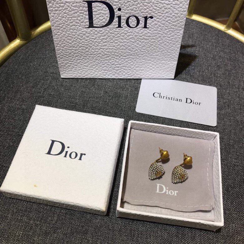 Christian Dior Earrings