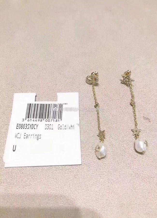 Christian Dior Earrings