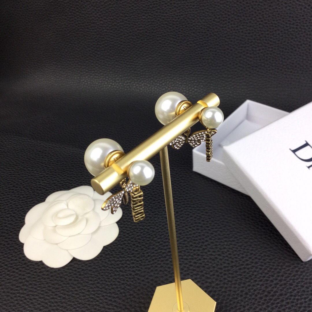 Christian Dior Earrings