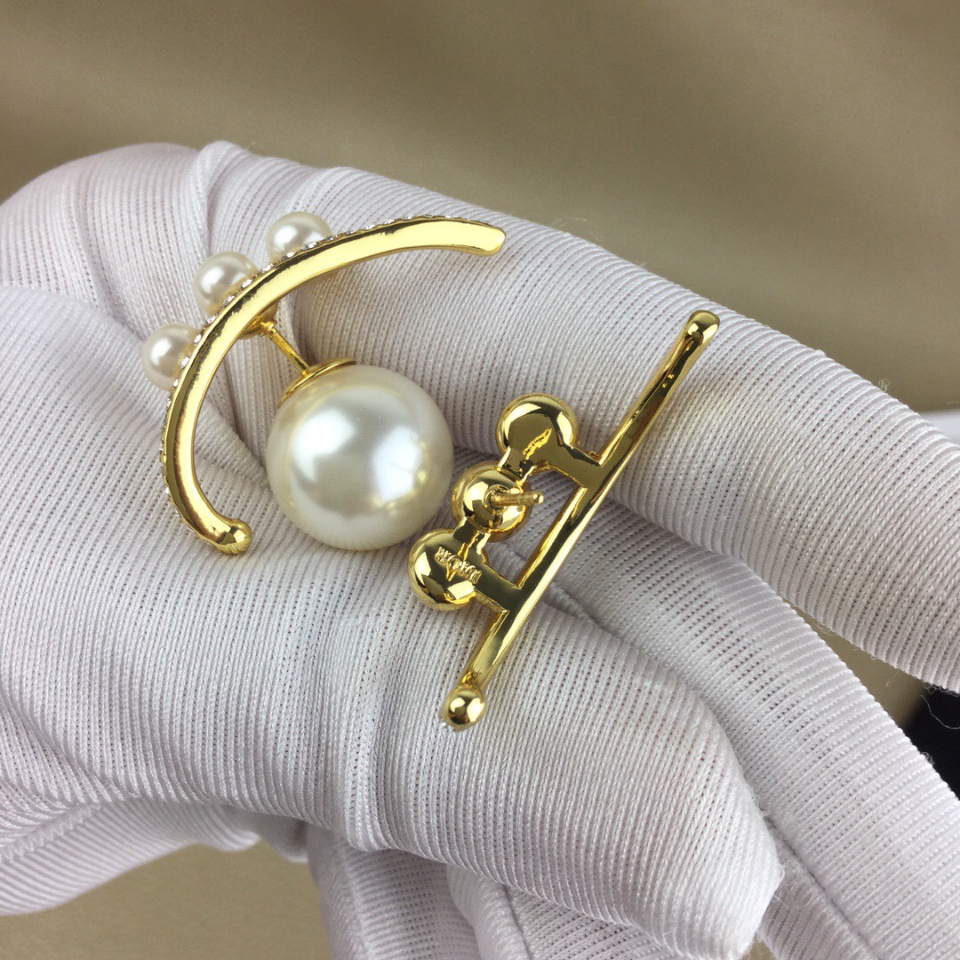 Christian Dior Earrings