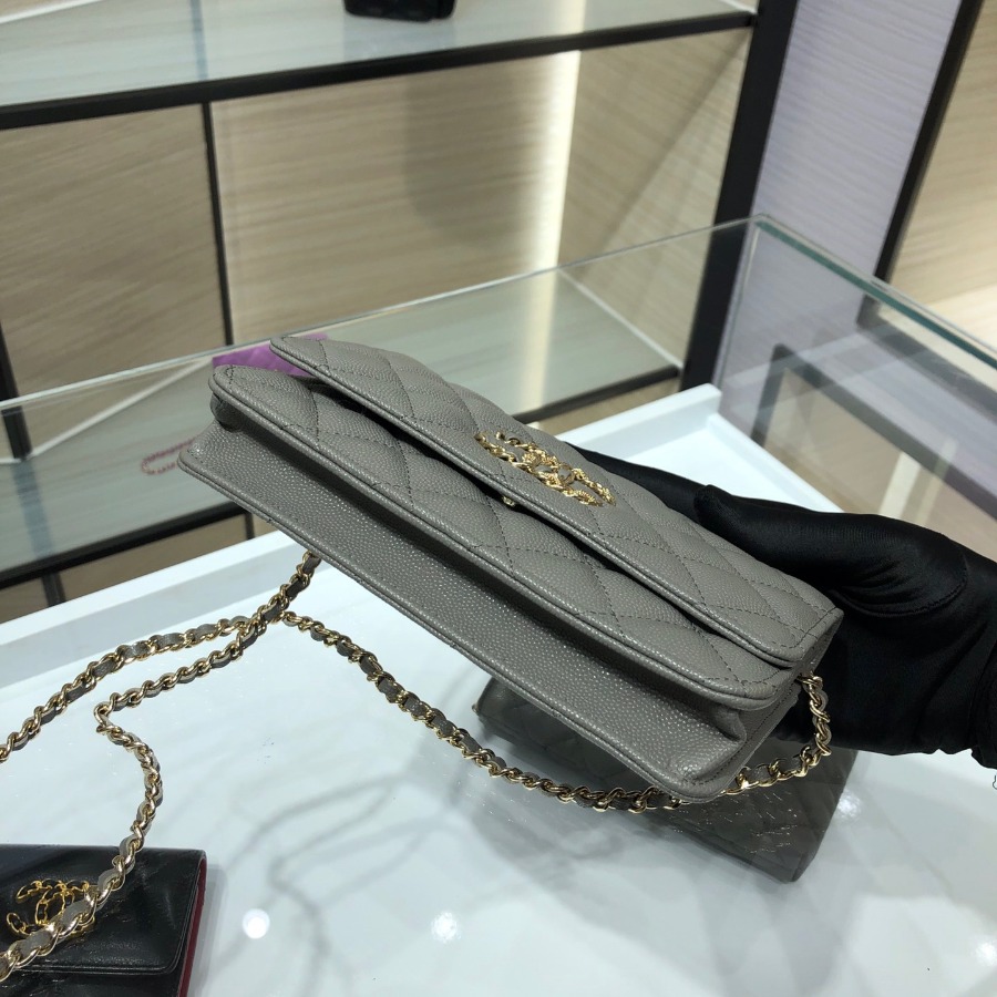 wallet on chain, CHANEL SMALL LEATHER GOODS