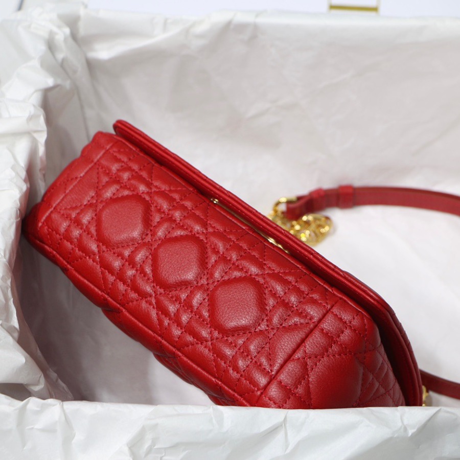 SMALL DIOR CARO BAG
