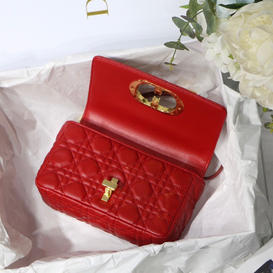 SMALL DIOR CARO BAG