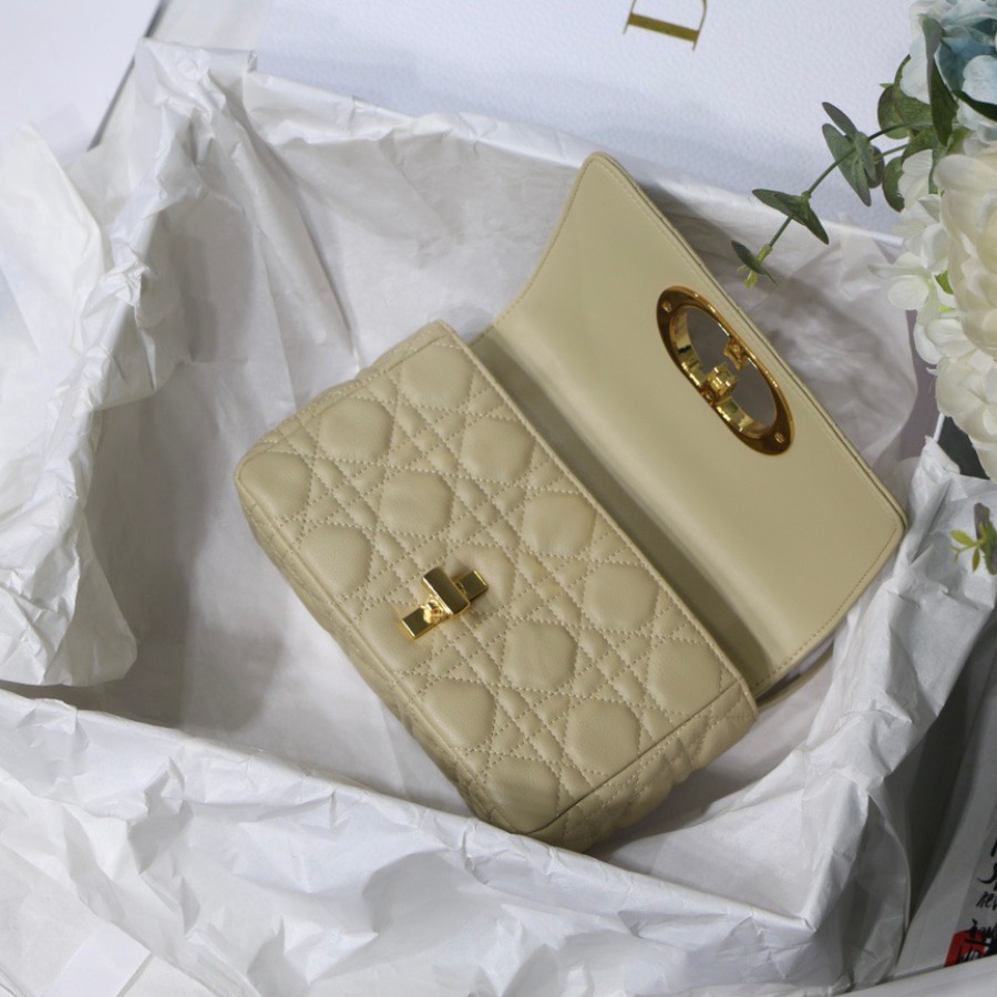 SMALL DIOR CARO BAG