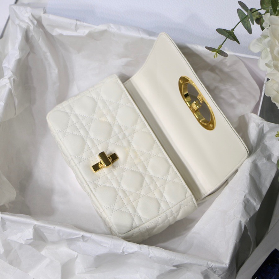 SMALL DIOR CARO BAG