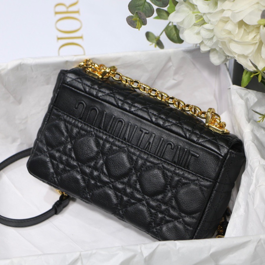 SMALL DIOR CARO BAG