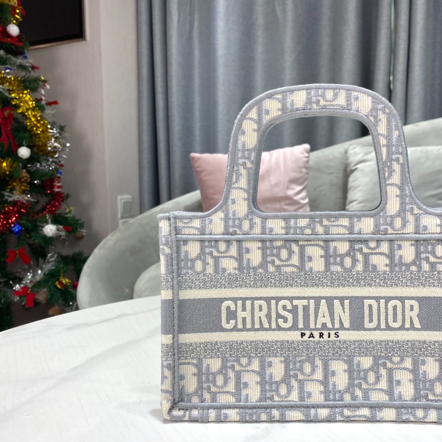 DIOR OBLIQUE EMBROIDERED MINI DIOR BOOK TOTE