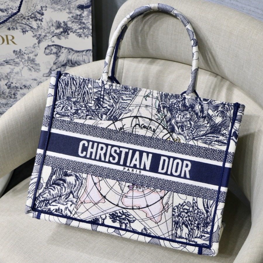 SMALL DIOR BOOK TOTE