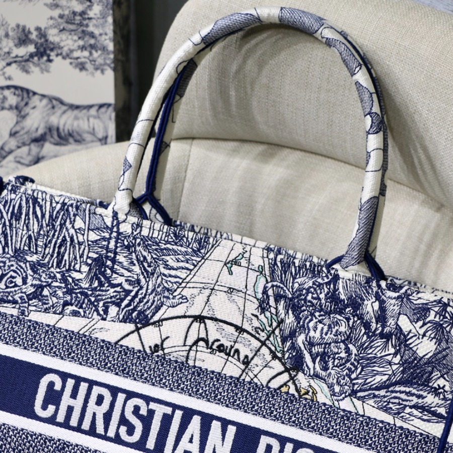 SMALL DIOR BOOK TOTE