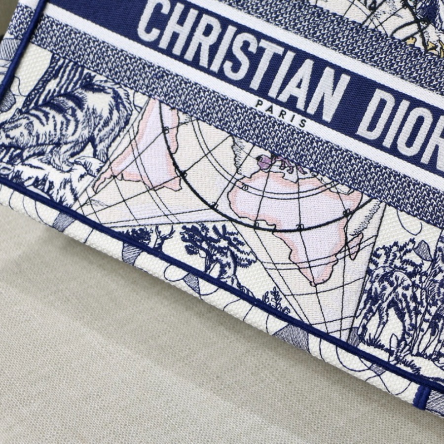 SMALL DIOR BOOK TOTE