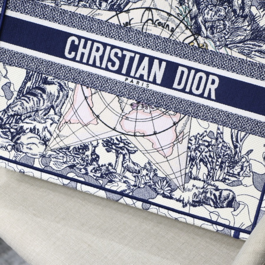 DIOR BOOK TOTE