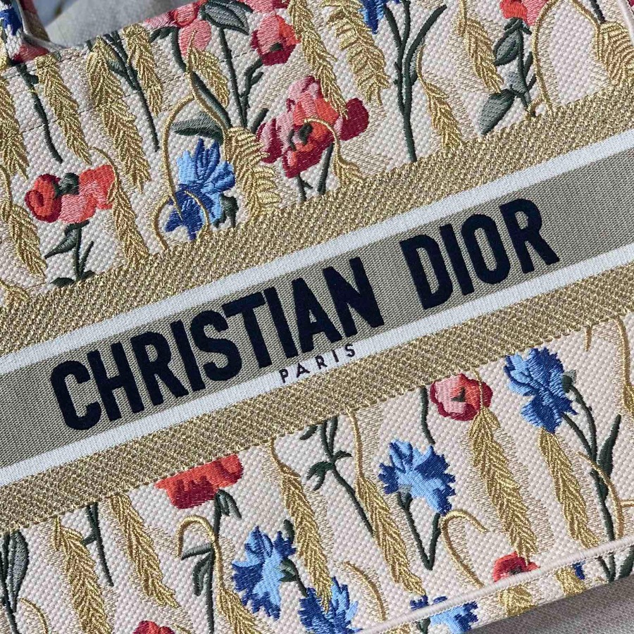 SMALL DIOR BOOK TOTE